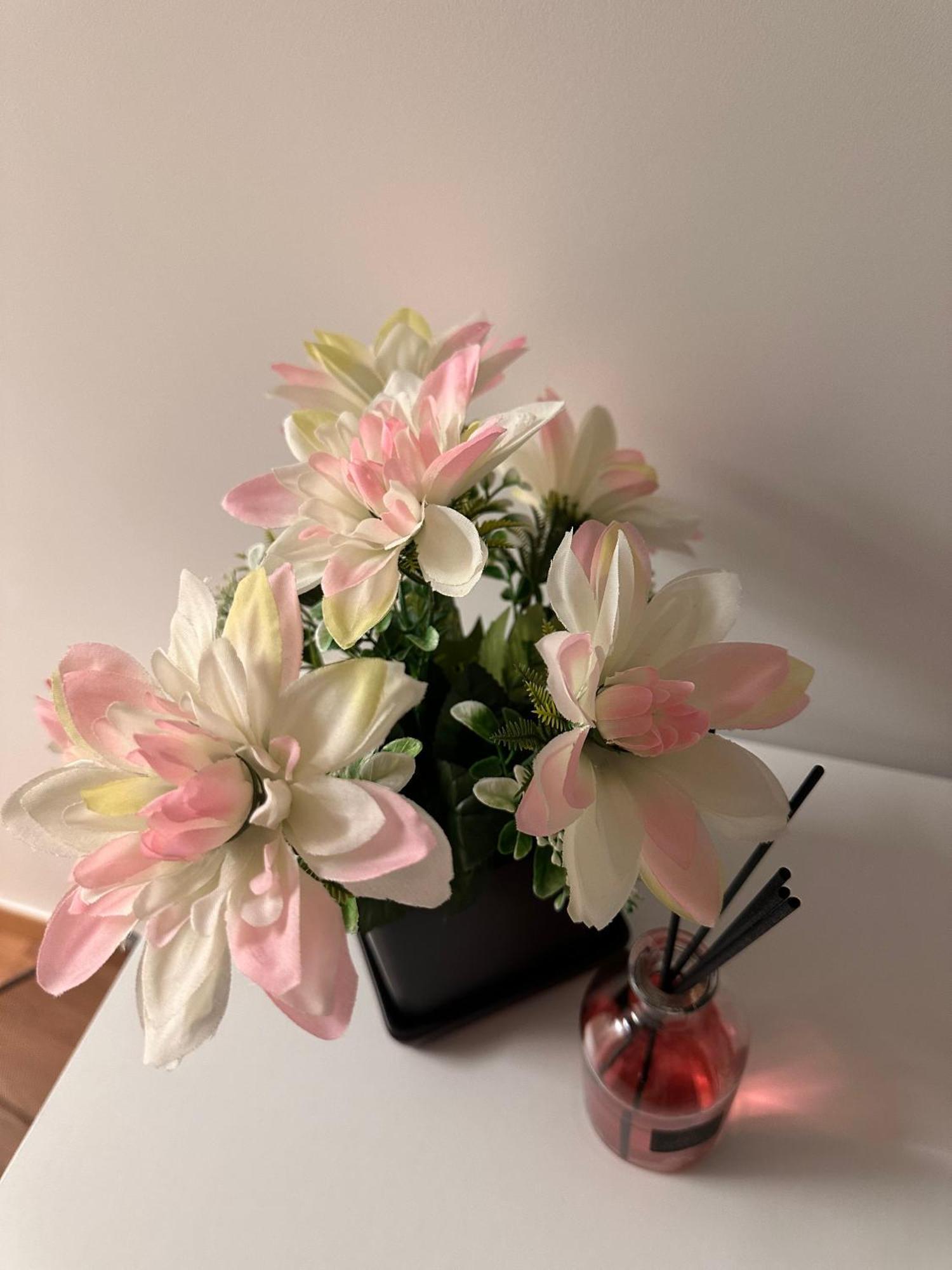 Bnb Nuova Vita Paola Dış mekan fotoğraf